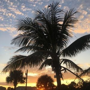 Meet your Posher, Kicks &